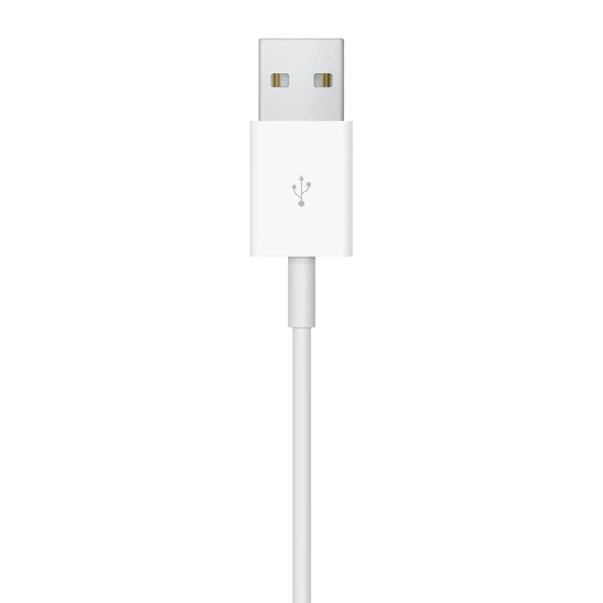 Apple Watch Magnetic Charging Cable (1 m) (MKLG2, MX2E2)
